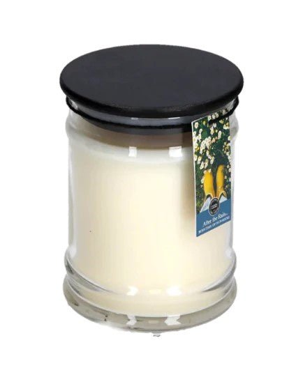 Bridgewater Candle Company - After The Rain 8oz Small Jar Candle - Helen of New York